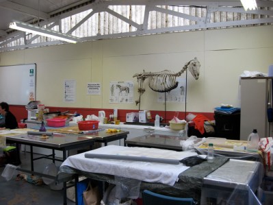 Creative Feltmaking was in the post mortem room