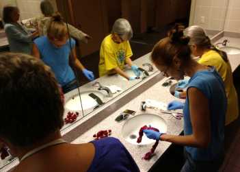 IMG_20160804_141027358