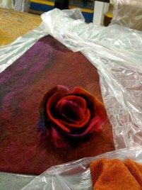 IMG_20160817_122628435