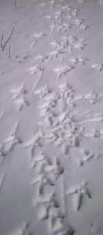 img_20160212_140412_228