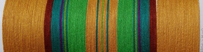 IMG_20210612_110901335-1